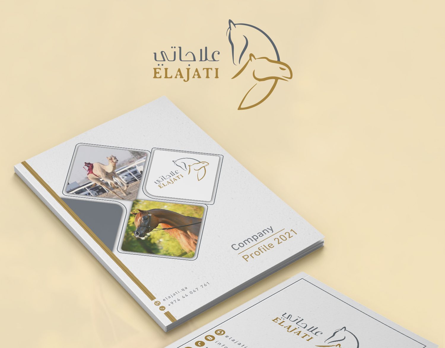 Elajaty Company Profile Design