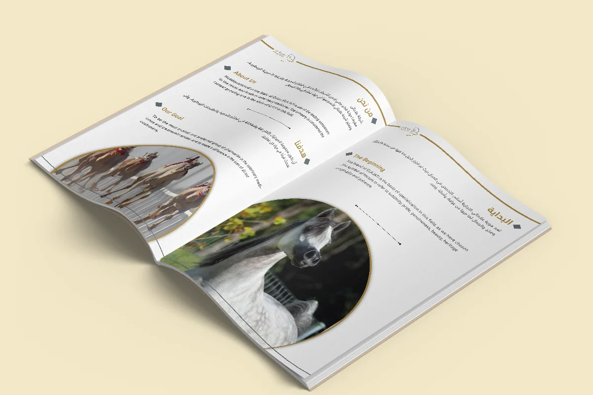 Elajaty Company - Profile Page 2
